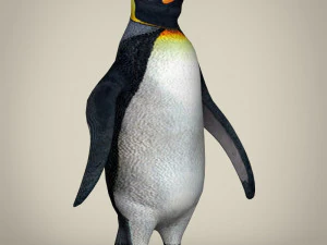 low poly penguin 3D Model