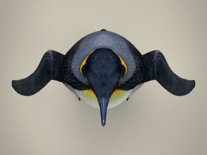 low poly penguin 3D Model