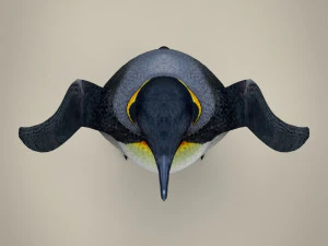 low poly penguin 3D Model