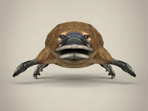 low poly platypus 3D Model