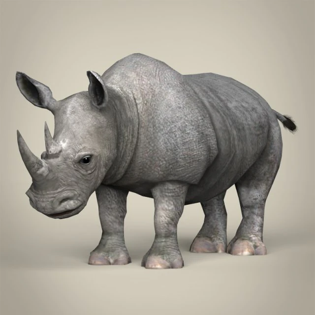 low poly rhinoceros 3D Model .c4d .max .obj .3ds .fbx .stl .blend 