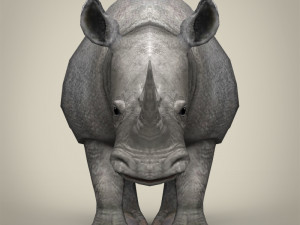 low poly rhinoceros 3D 모델