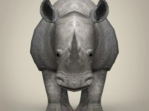 low poly rhinoceros 3D Model