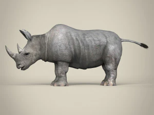 low poly rhinoceros 3D Model
