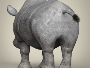 low poly rhinoceros 3D 모델