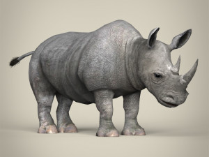 low poly rhinoceros 3D 모델