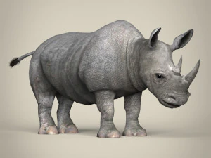 low poly rhinoceros 3D Model