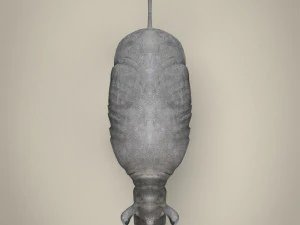 low poly rhinoceros 3D Model