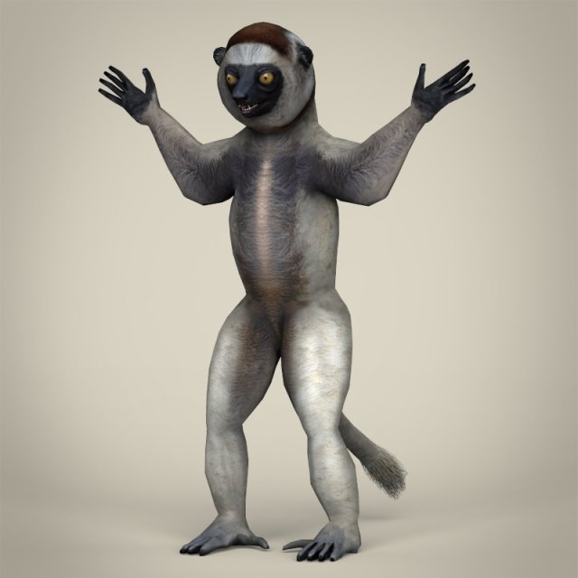 low poly sifaka lemur 3D Model .c4d .max .obj .3ds .fbx .stl .blend 