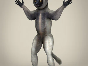 低ポリシファカキツネザル 3Dモデル