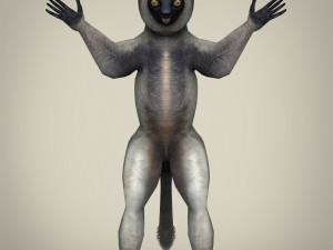low poly sifaka lemur 3D Model