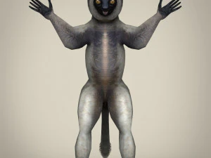 low poly sifaka lemur 3D Model