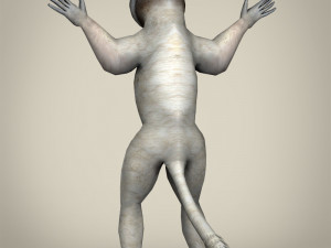 low poly sifaka lemur 3D Model