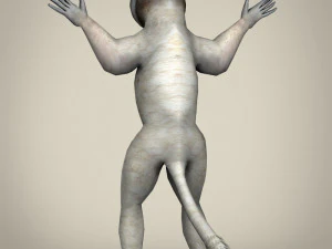 low poly sifaka lemur 3D Model