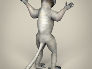 low poly sifaka lemur 3D Model