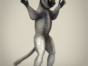 low poly sifaka lemur 3D Model