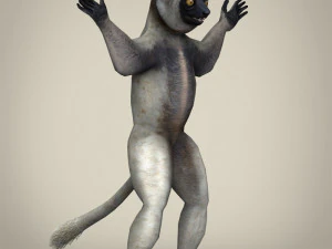 low poly sifaka lemur 3D Model