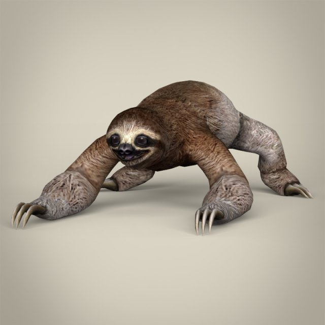 low poly sloth 3D Model .c4d .max .obj .3ds .fbx .stl .blend 
