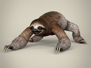 low poly sloth 3D Model