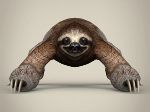 pregui&ccedil;a low poly Modelo 3D