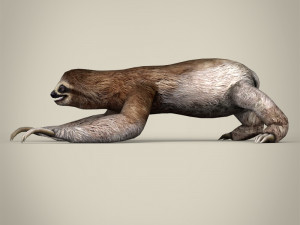 low poly sloth 3D Model
