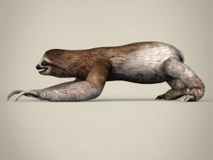 pregui&ccedil;a low poly Modelo 3D