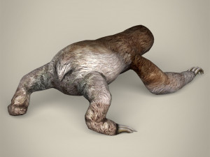 low poly sloth 3D Model