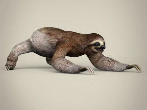 pregui&ccedil;a low poly Modelo 3D