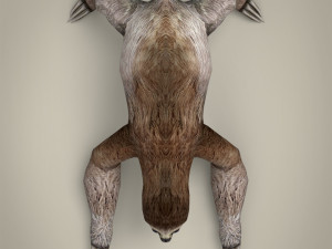 low poly sloth 3D Model