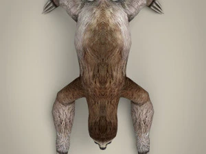 pregui&ccedil;a low poly Modelo 3D