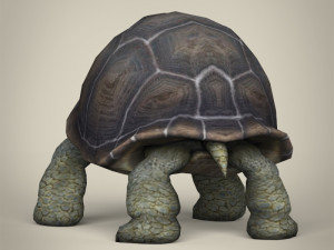 low poly tortoise 3D Model