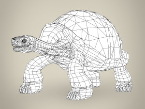 low poly tortoise 3D Model