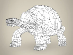 low poly tortoise 3D Model