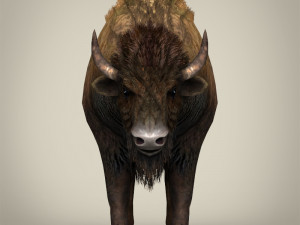 low poly montana buffalo 3D Model