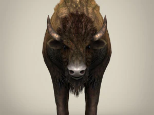 low poly montana buffalo 3D Model