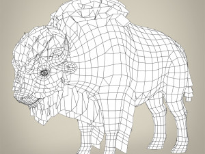 low poly montana buffalo 3D Model