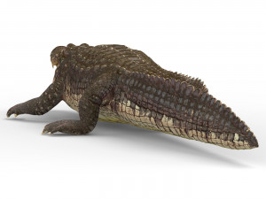 alligator with pbr textures Modelo 3D