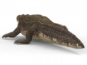 alligator with pbr textures 3D Model