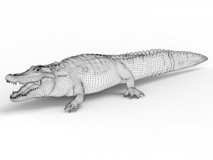 alligator with pbr textures Modelo 3D