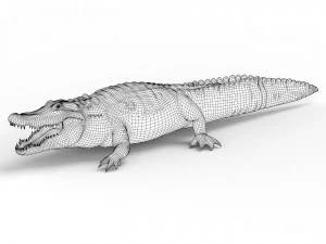 alligator with pbr textures 3D Model