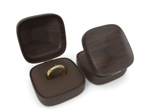 wedding rings 3D Model
