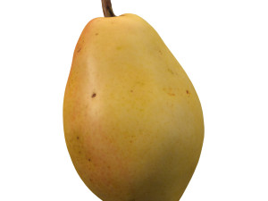 realistic yellow pear Model 3D