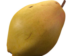 realistic yellow pear 3D Model