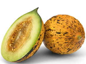 realistic melon model 2 3D Model