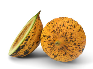 realistic melon model 2 3D Модель