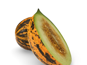 realistic melon model 2 3D Модель