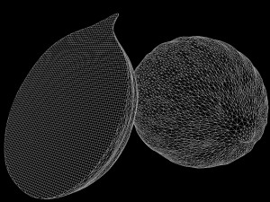 realistic melon model 2 3D Модель