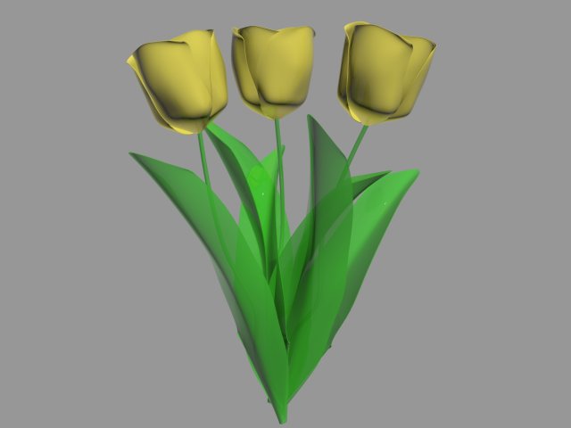 tulips 3D Model .c4d .max .obj .3ds .fbx .stl .blend 