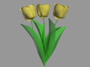 tulips 3D Model