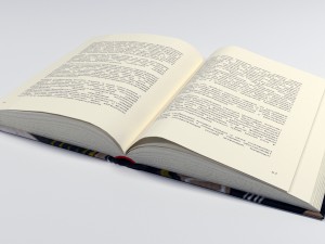 set of books 3D Model